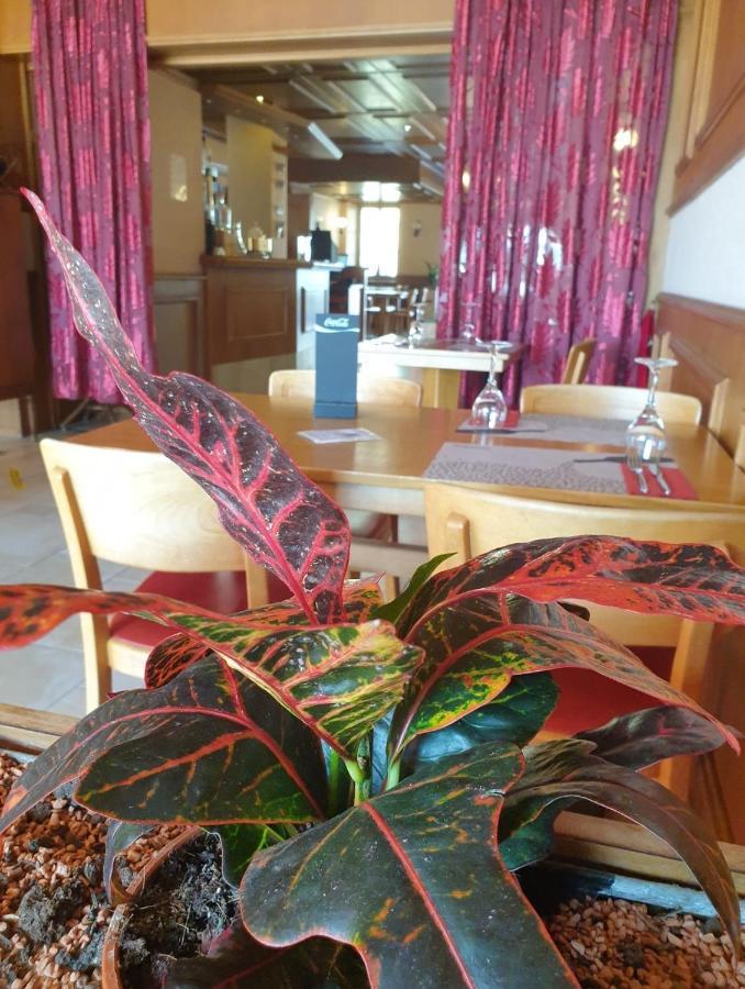 Hotel Lion D'Or Romont Bagian luar foto